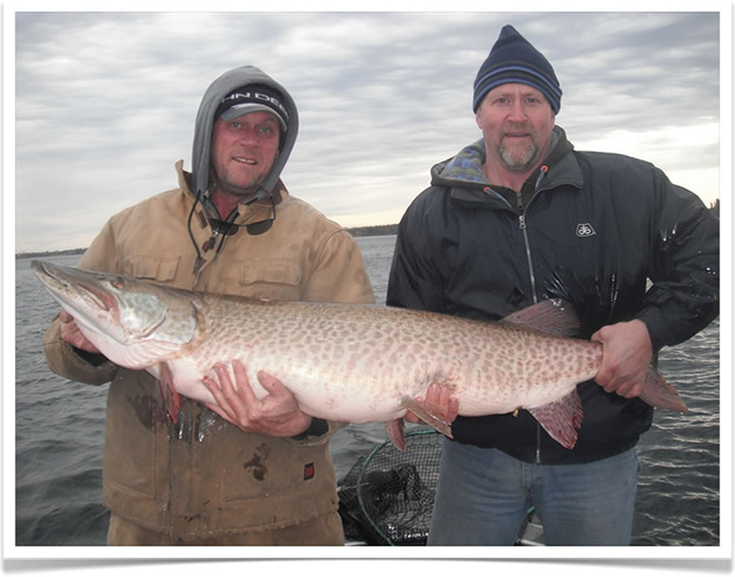Muskie charter Image of fish with person15