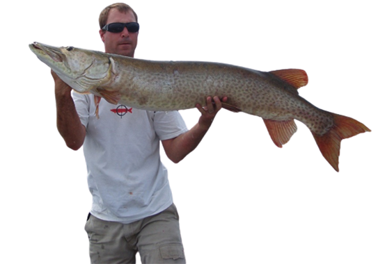 Pat Briere holding up muskie in boat